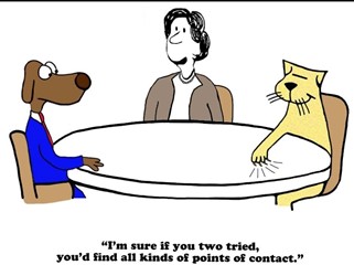 Talking with antivaxxers can be a bit like a cat and dog chatting.